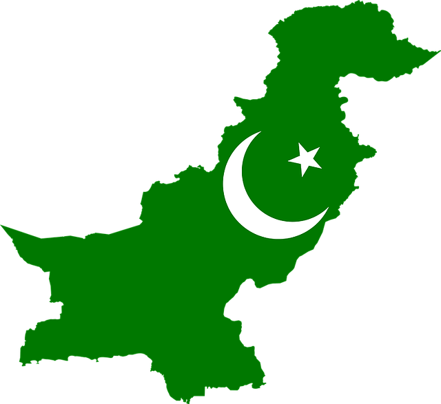 major languages in pakistan