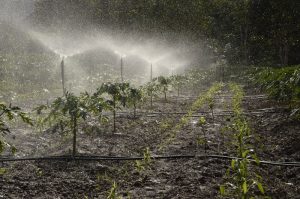 Water Resources | Methods of Irrigation