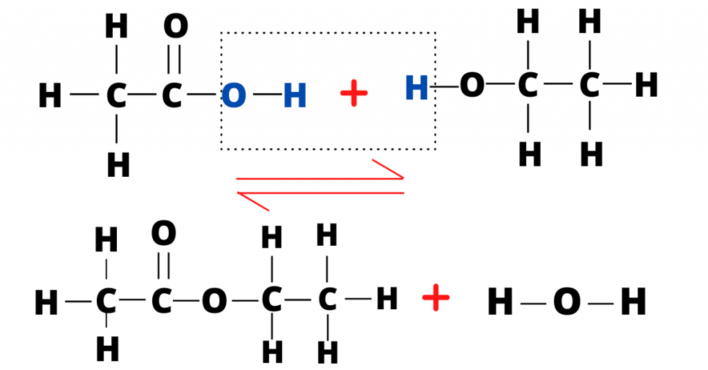 Organic chemistry (esters)