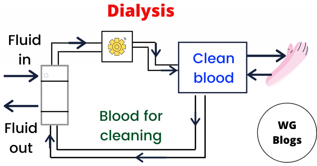 Excretion (dialysis)