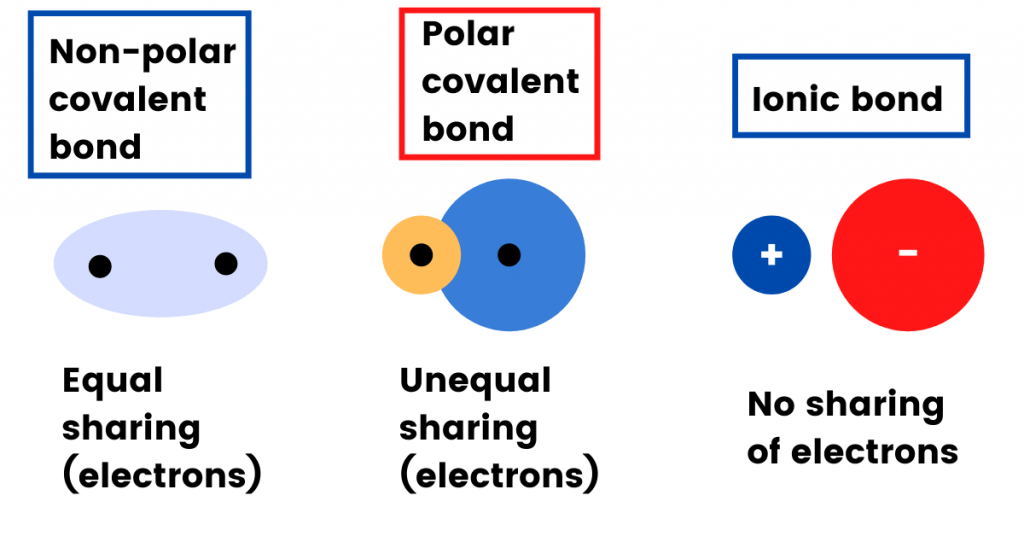 nonpolar and polar covalent bonding