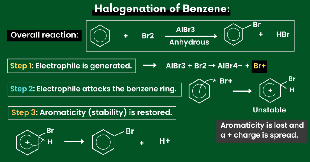 electrophilic substitution of benzene