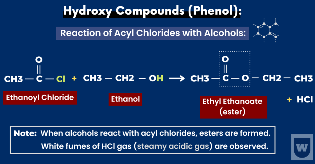 phenols hydroxy compounds